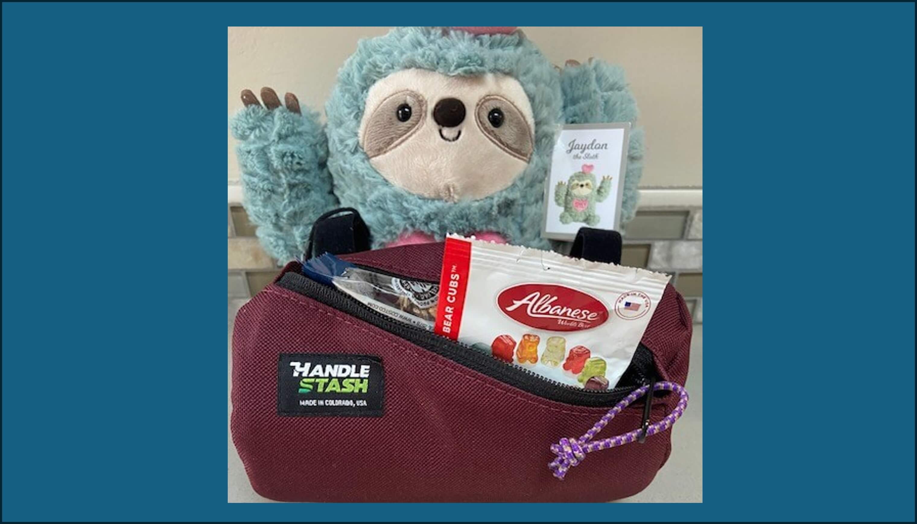 For the Zin bar snack bag filled with snacks in front of aqua blue sloth stuffed animal